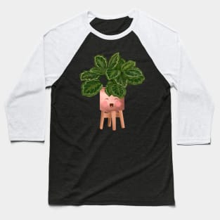 Cute Plant Illustration, Philodendron Burle Marx Variegated Baseball T-Shirt